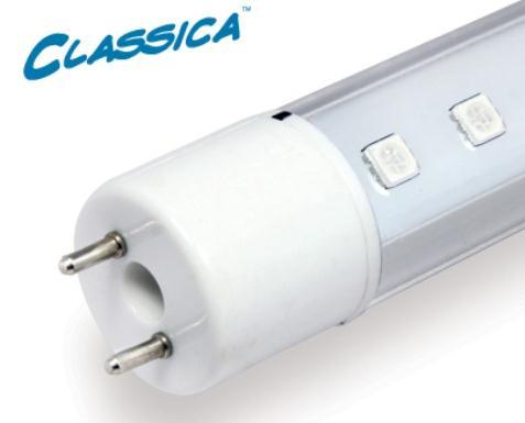 Обзор - Arcadia Classica LED T8