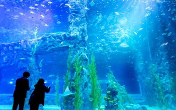 Lotte World Aquarium закрыт 
