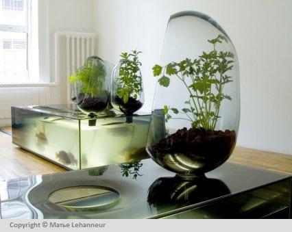Французский дизайнер разработал самоподдерживающийся аквариум