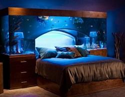 Уникальная кровать с аквариумом 